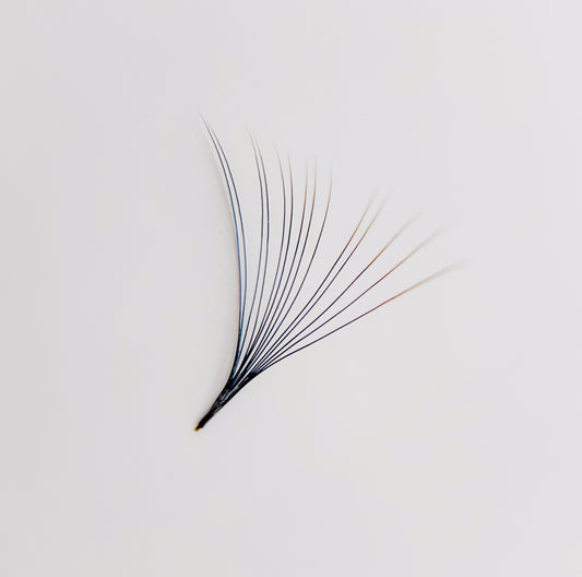16D Promade Loose Fans- 500 Fans
